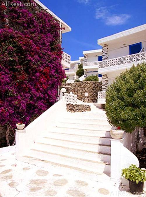 Alkistis Hotel 4
